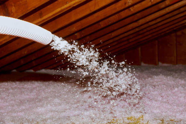 Best Energy Efficiency Solutions in Washington Park, IL