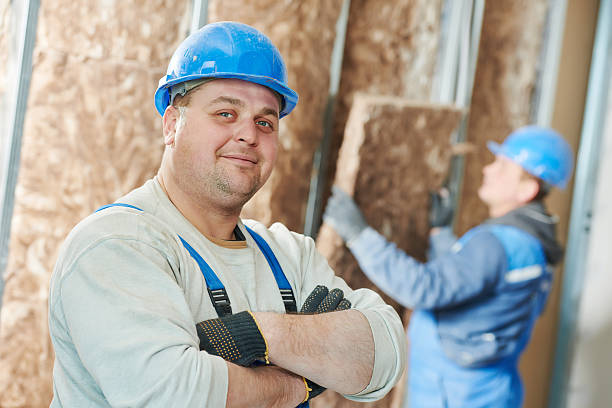 Best Insulation Installation Services in Washington Park, IL